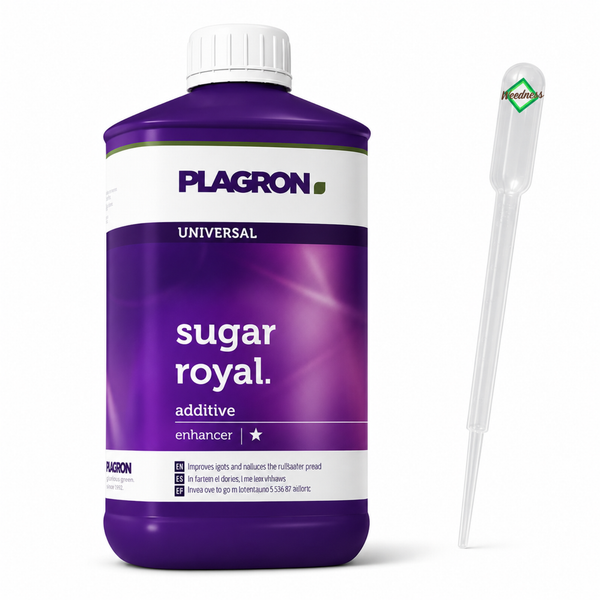 Plagron Sugar Royal Pflanzendünger und Wachstumsverstärker in einer Flasche mit einer Pipette für die Dosierung.