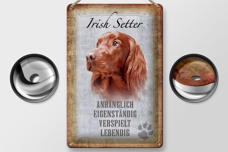 Blechschild Spruch 20x30cm Irish Setter Hund Schild