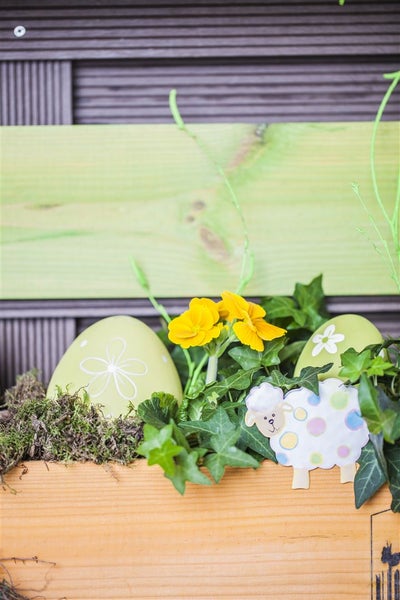 Dekoration mit bemalten Ostereiern, gelben Blumen und einem Deko-Schaf