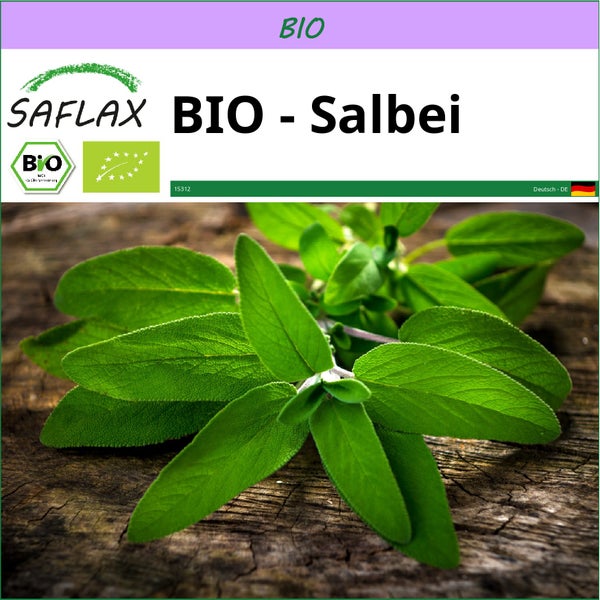 SAFLAX  - BIO - Salbei - Salvia officinalis - 60 Samen