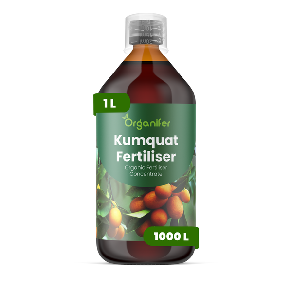 Organifer Kumquat Dünger, organisches Flüssigdünger-Konzentrat, 1 Liter.