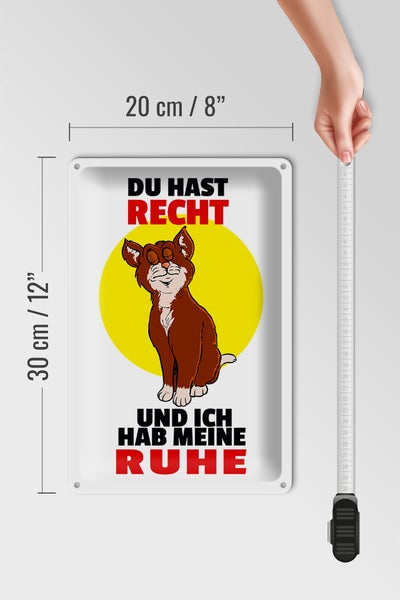 Blechschild Spruch 20x30cm Du hast Recht und ich Ruhe (Katze)