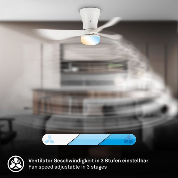 Weißer Deckenventilator mit Beleuchtung und drei einstellbaren Geschwindigkeitsstufen in einem modernen, hellen Raum.