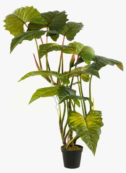 Colocasia künstlich SOTU, grün, 175cm - Elefantenohr Seidenpflanze/Plastik Zehrwurz