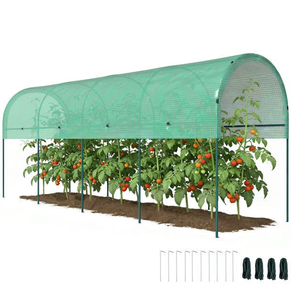 Tomatengewächshaus-Tunnel mit Gitterfolie und Metallgestell über Tomatenpflanzen inklusive Erdankern und Schnüren.