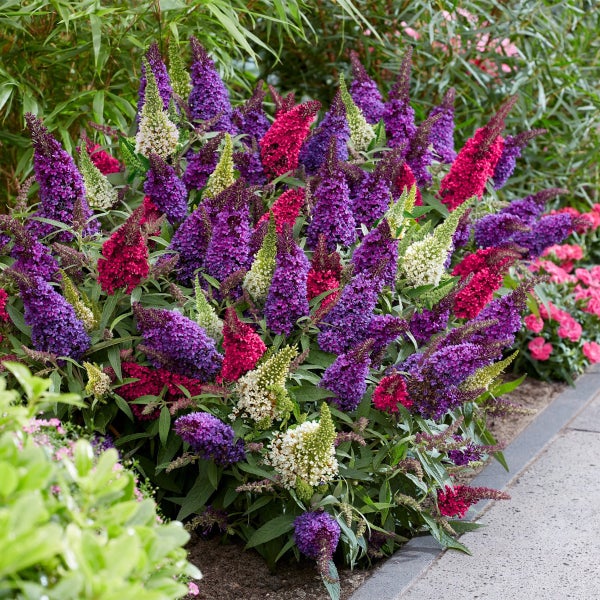 Sprühdose mit 400 ml NC-Acryllack