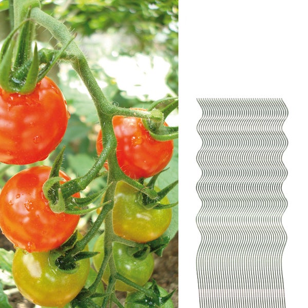 40 Tomatenspiralstäbe 110cm voll verzinkt Tomatenstab Tomaten Ranke Pflanzstab Stahl Profi Qualität Tomatenspiralstab