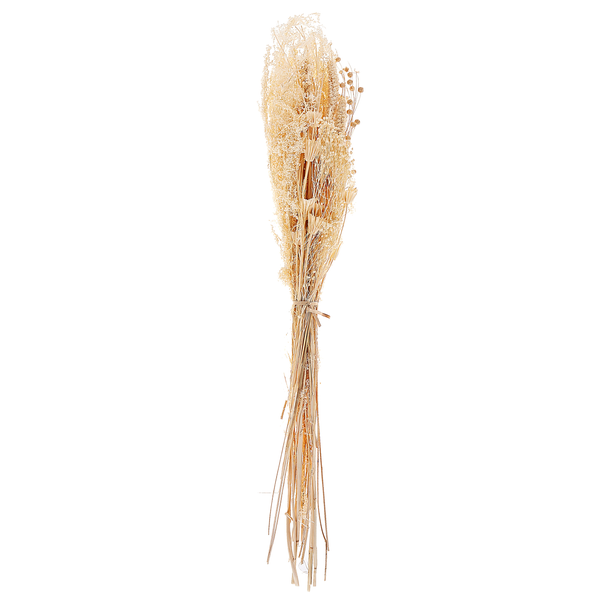 Trockenblumenstrauß BRUNETE 65 cm Naturfarben