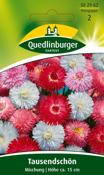 Quedlinburger Saatgut Logo, Samentüte Tausendschön Mischung, Wuchshöhe circa 15 Zentimeter.