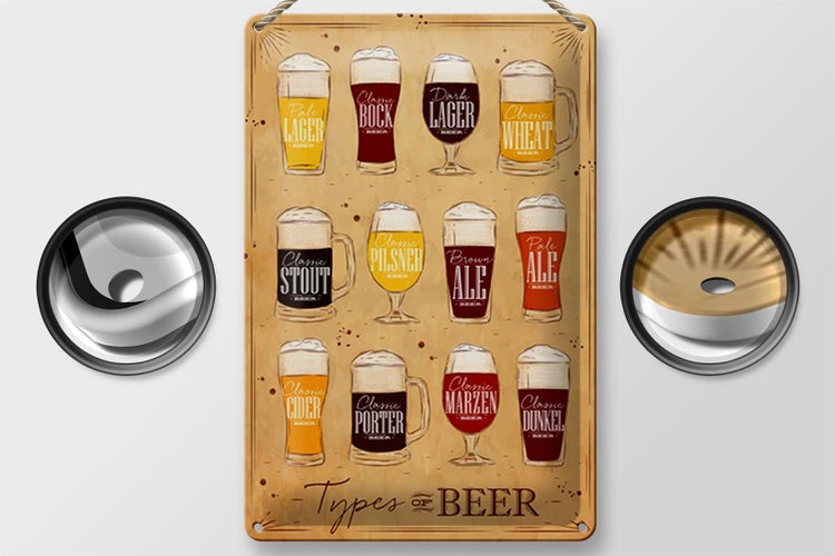 Blechschild Spruch 20x30cm Types of Beer Bier Sorten