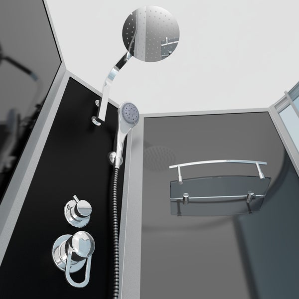 Innenansicht einer Duschkabine mit Handbrause, Massagedüsen, Mischbatterie und Glasablage.