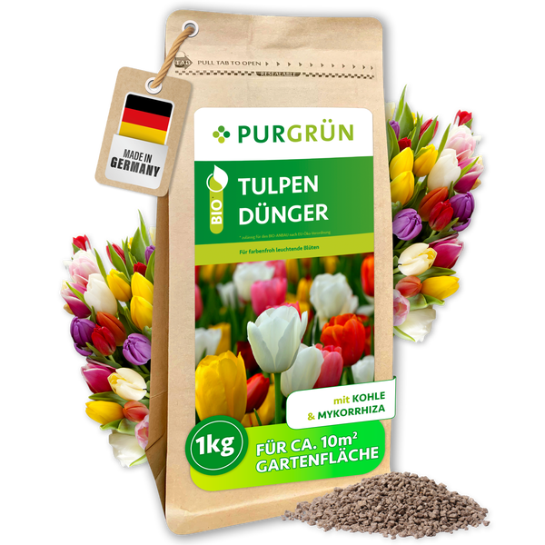 Purgrün Bio-Tulpendünger 1 Kilogramm mit Pflanzenkohle und Mykorrhiza, feines Granulat für circa 10 Quadratmeter Garten, gezeigt mit einem Gärtner.