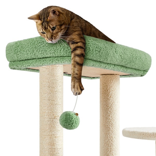 Katze ruht auf einem Kratzbaum mit Spielzeugball