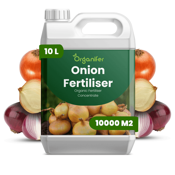 Organifer Bio-Zwiebel-Flüssigdünger-Konzentrat in einem 10-Liter-Kanister für 10000 Quadratmeter.