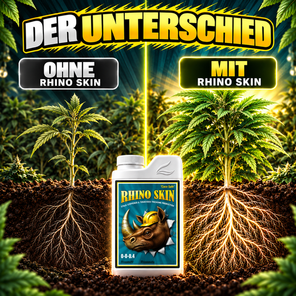 Vergleichsbild für Rhino Skin Dünger zur Pflanzenstärkung mit Darstellung von Wurzelwachstum und Blattentwicklung bei Cannabispflanzen.