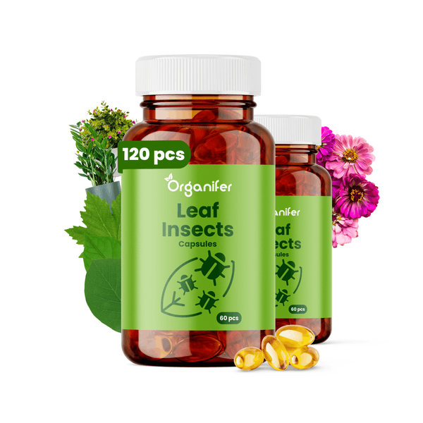 Zwei Packungen Organifer Leaf Insects Kapseln mit insgesamt 120 Stück zur Schädlingsbekämpfung an Pflanzen
