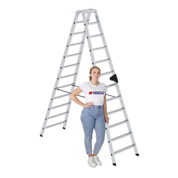 PROREGAL Stufen-Stehleiter Beidseitig Begehbar 2 x 12 Stufen