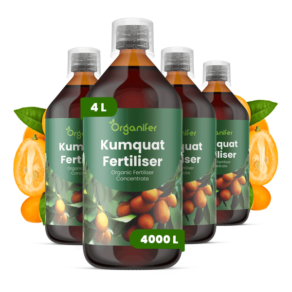 Vier Flaschen Organifer Kumquat Dünger, organisches Düngerkonzentrat, 4 Liter.