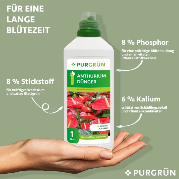 Purgrün Anthurium-Dünger 1 Liter