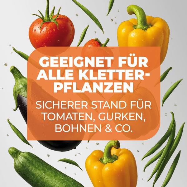 Verschiedene Gemüsesorten wie Tomaten, Paprika, Auberginen und Bohnen mit Texthinweis zur Eignung für Kletterpflanzen.