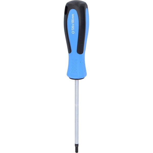 BRILLIANT TOOLS Schraubendreher TORX T20 x 100 mm - BT031013