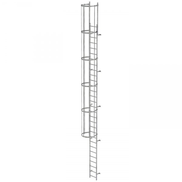 Steigleiter mit Rückenschutz