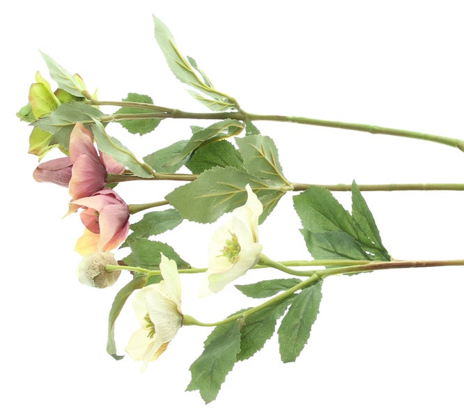 FRANK FLECHTWAREN | Kunstblume Christrose, 3er Set, KUNSTSTOFF, L: 40 cm