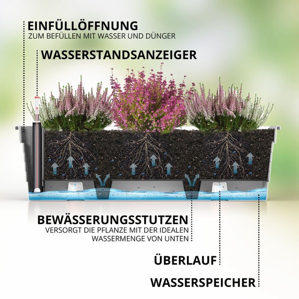 Querschnitt eines Blumenkastens mit Bewässerungssystem, Wasserspeicher, Wasserstandsanzeiger, Einfüllöffnung, Bewässerungsstutzen und Überlauf.