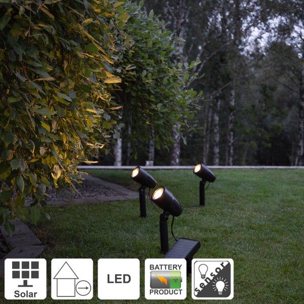 Drei LED Solarstrahler im Garten
