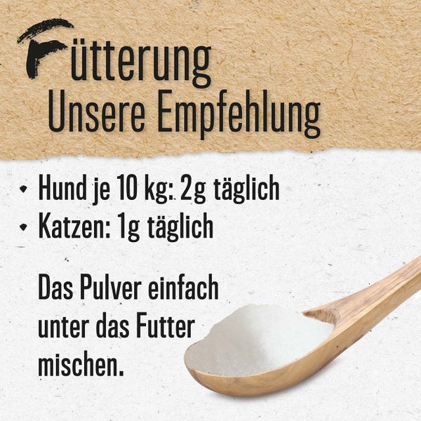 ALPHAZOO MSM Pulver 1kg für Hunde und Katzen I Organischer Schwefel für Agility
