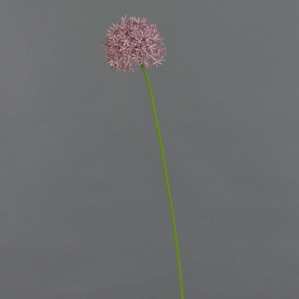 Künstliche Allium-Blume mit langem grünem Stiel und kugelförmiger rosa Blüte für die Dekoration.