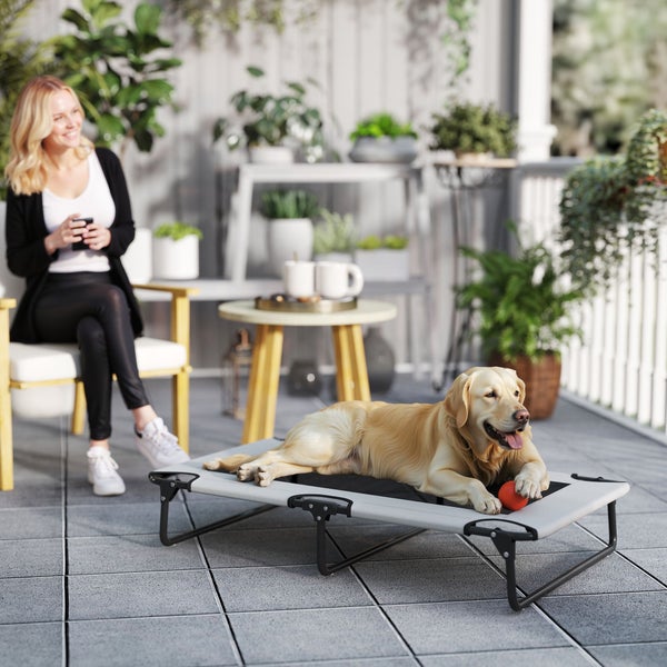 Szene auf einer Terrasse mit einem Hund auf einem Hundebett und einer Frau im Hintergrund.