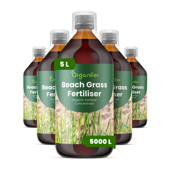Organifer Strandhaferdünger, organisches Flüssigdünger-Konzentrat, 5 Liter Flaschen im Fünferpack.