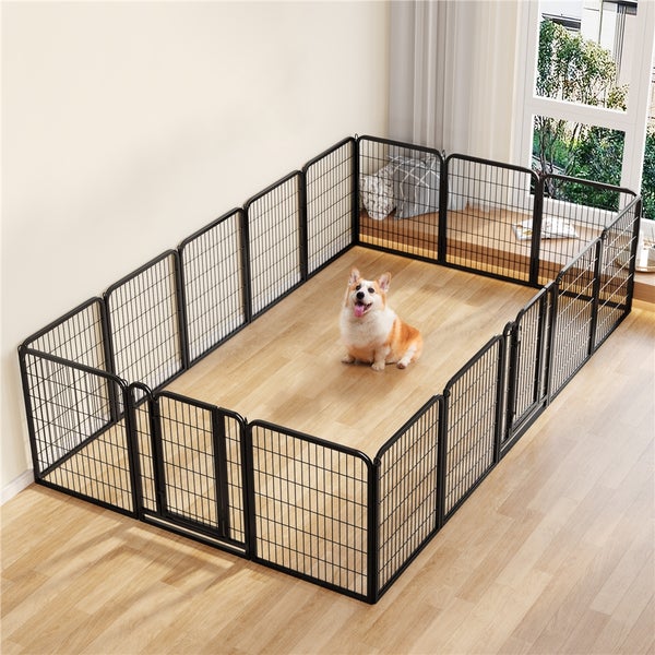 Hund in einem rechteckigen, schwarzen Metall-Laufstall mit Gitterstruktur in einem hellen Raum.