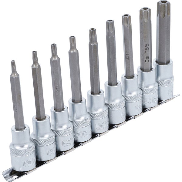 Satz Torx-Bit-Einsätze auf einer Metallschiene