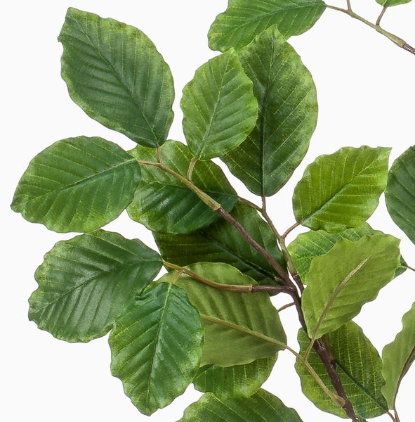 Künstlicher Calathea-Zweig mit großflächigen gestreiften Blättern in Grün.