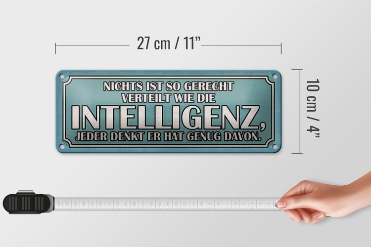 Blechschild Spruch 27x10cm Intelligenz gerecht verteilt Dekoration