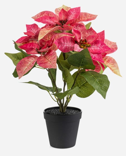 Künstliches Pampasgras mit hellen Wedeln und grünen Halmen für die Innendekoration.