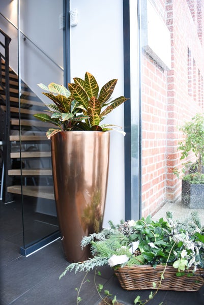Modernes Interieur mit einem hohen, kupferfarbenen Pflanzgefäß aus Metall mit einer Krotonpflanze neben einer Glaswand und Holztreppe.