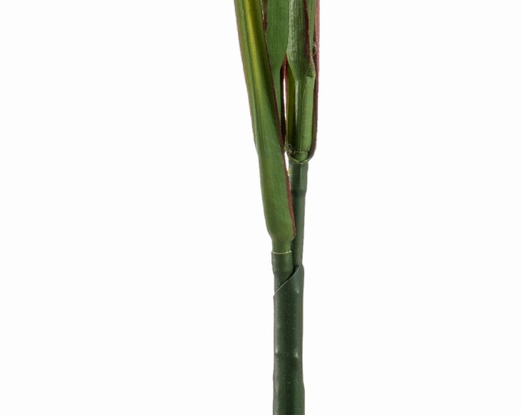 Nahaufnahme einer künstlichen Fuchsia mit dichten grünen Blättern und hängenden rosa-violetten Blüten.