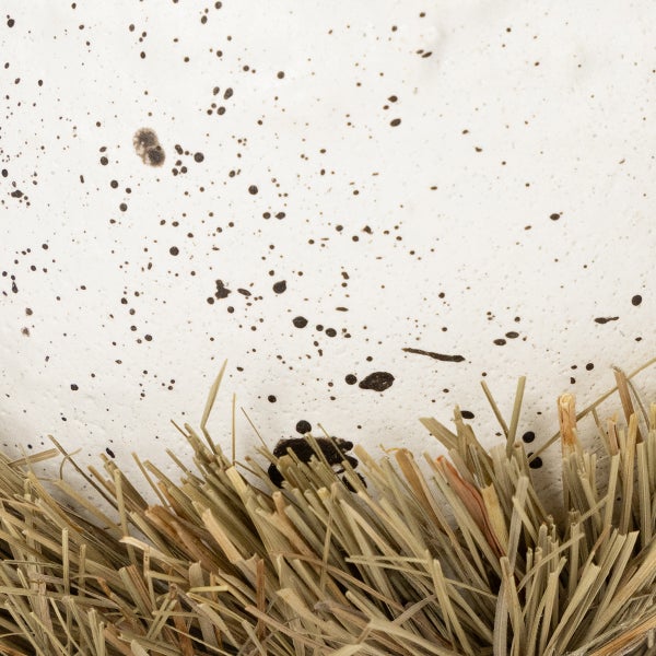 Nahaufnahme von Stroh vor einem gesprenkelten Hintergrund