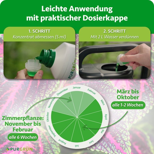 Anleitung zur Anwendung von Purgrün Pflanzendünger mit Dosierkappe und jahreszeitlichem Düngeplan für die optimale Nährstoffversorgung.