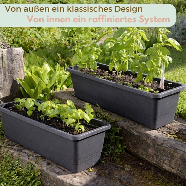 Zwei rechteckige Pflanzkästen mit Kräutern auf einem Holzuntergrund im Garten.