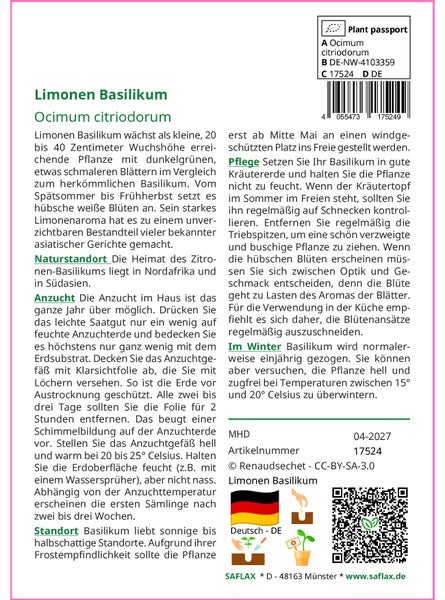 SAFLAX Geschenk Set - Limonen Basilikum - Ocimum citriodorum - 200 Samen - Mit Geschenkbox, Versandaufkleber, Geschenkkarte und Anzuchtsubstrat