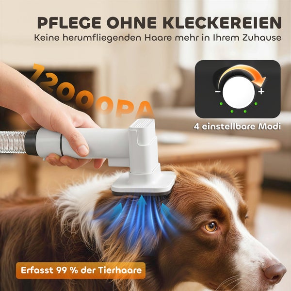 Tierhaar-Staubsaugerbürste mit zwölftausend Pascal Saugkraft und vier Modi zur Fellpflege von Hunden, erfasst neunundneunzig Prozent der Haare.