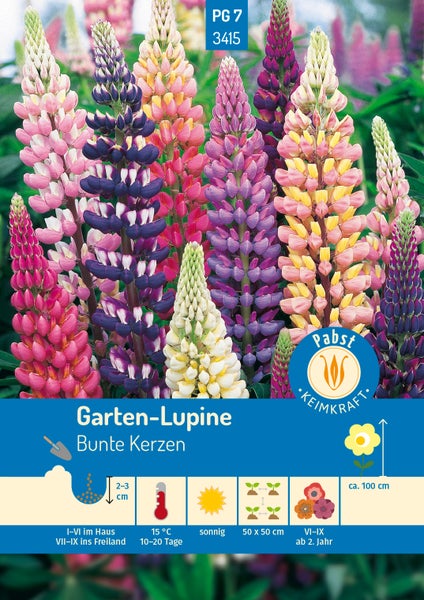 Samentüte Garten-Lupine Bunte Kerzen mit Abbildung von Lupinenblüten, Pabst Keimkraft Logo und Symbolen für Aussaat, Pflanzabstand und Wuchshöhe.