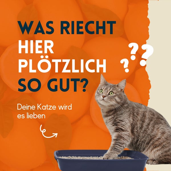 nimo® Katzenklo Geruchsentferner • Neutralisierendes Spray gegen Gerüche und Urin