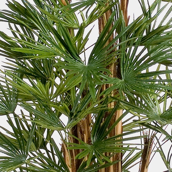 Künstliche Palme mit grünen fächerförmigen Blättern und naturgetreuen Stämmen.