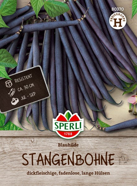 Sperli Stangenbohne Blauhilde Saatgut mit langen fadenlosen Hülsen