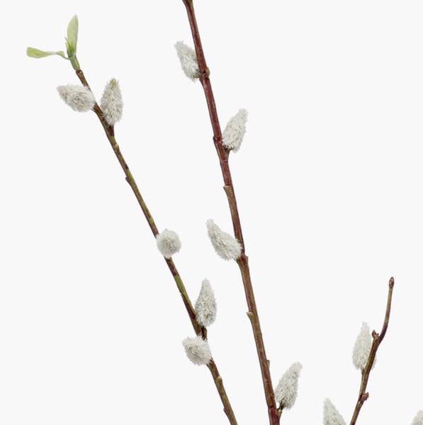 Künstlicher Weidenkätzchenzweig mit flauschigen Kätzchen und braunen Zweigen.